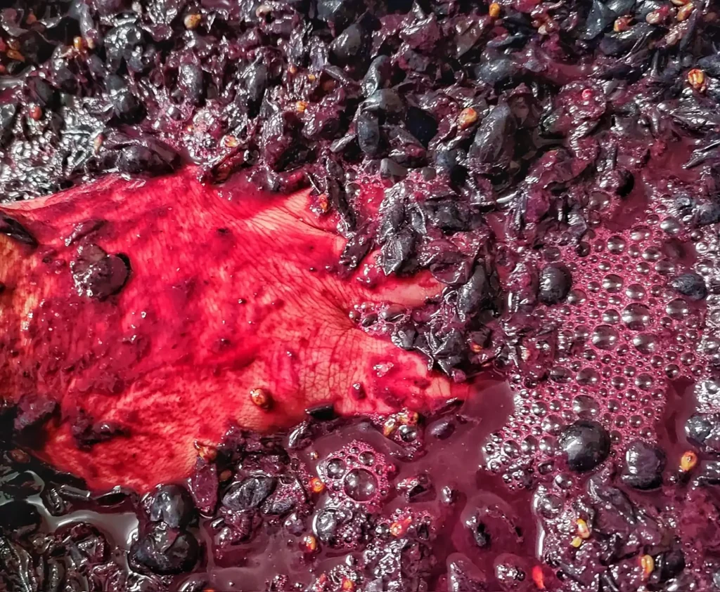 Microbodega Dominio de Rodeno